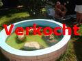 Omgeving