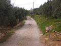Buiten