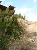 Buiten